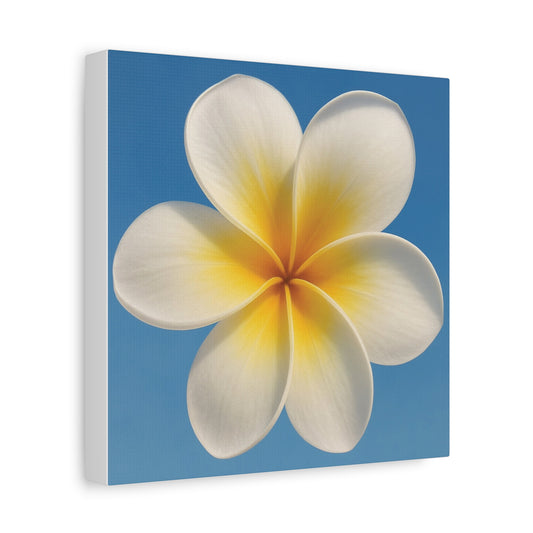 Plumeria Flower Wall Art – Minimalist Tropical Canvas Print with Blue Sky Background