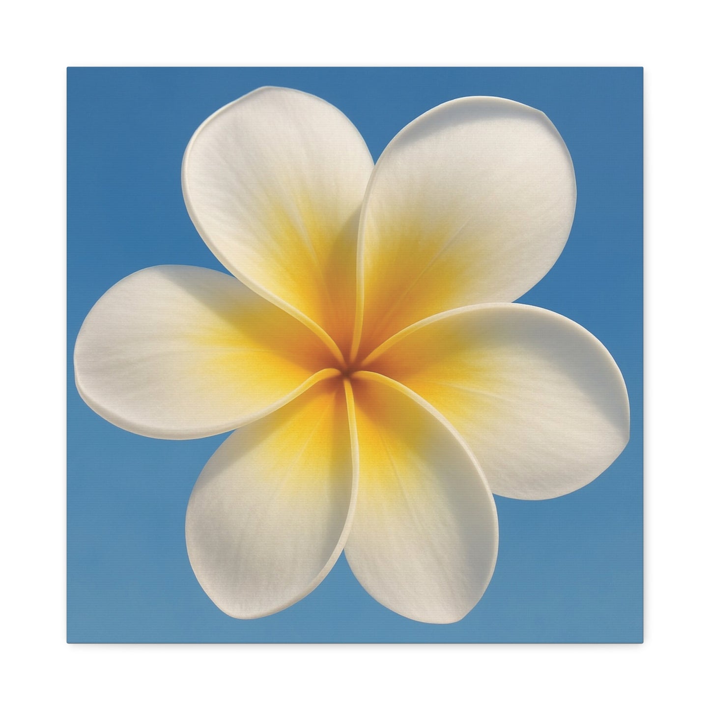 Plumeria Flower Wall Art – Minimalist Tropical Canvas Print with Blue Sky Background