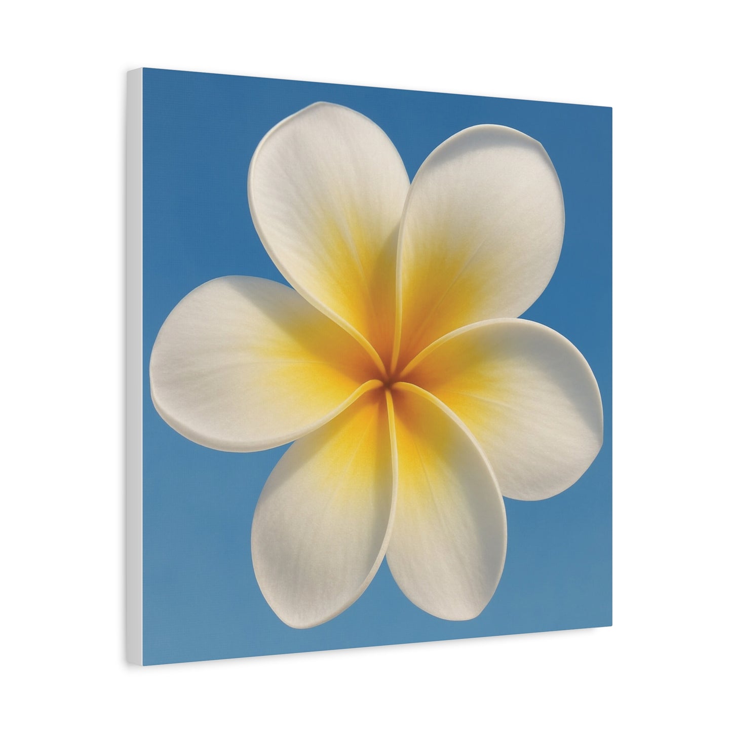 Plumeria Flower Wall Art – Minimalist Tropical Canvas Print with Blue Sky Background