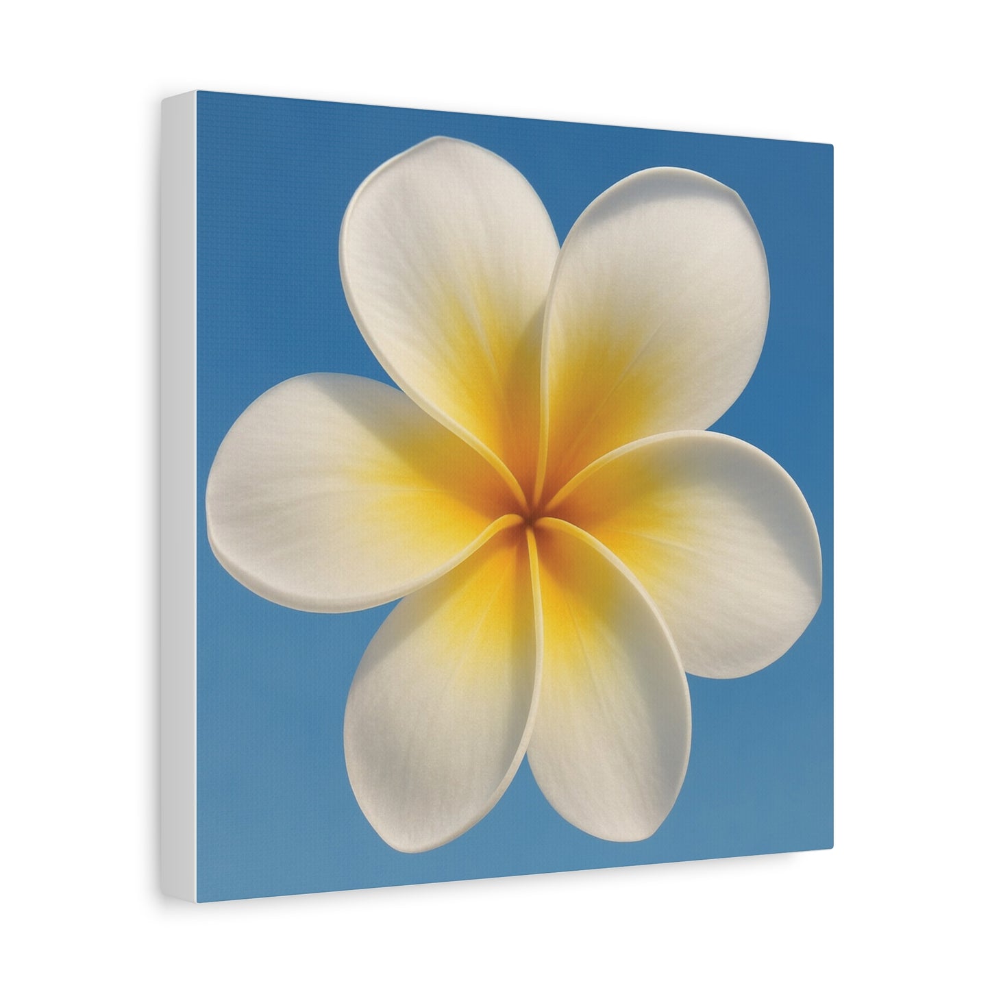 Plumeria Flower Wall Art – Minimalist Tropical Canvas Print with Blue Sky Background