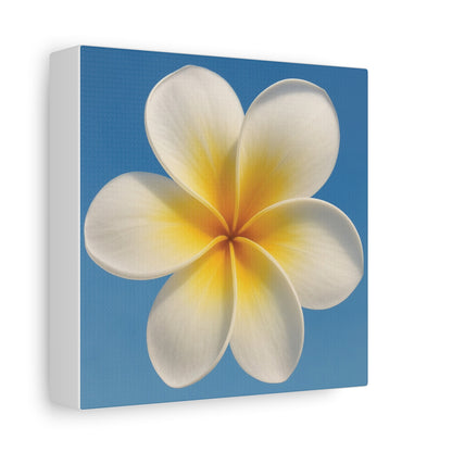 Plumeria Flower Wall Art – Minimalist Tropical Canvas Print with Blue Sky Background