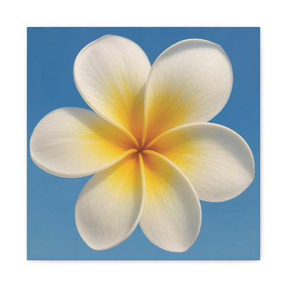 Plumeria Flower Wall Art – Minimalist Tropical Canvas Print with Blue Sky Background